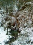 DSC00185.jpg