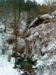 DSC00186.jpg