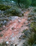 Imagen005.jpg