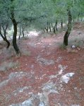 Imagen008.jpg