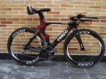 triceepo.jpg