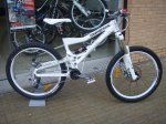 mongoose (11).jpg