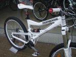 mongoose.jpg