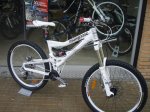 mongoose (12).jpg