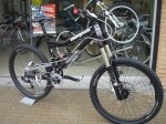 mongoose (1).jpg