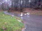 17022010_006.jpg