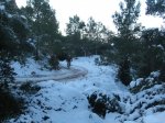 alba y 023.jpg