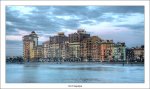 IMG_0818.jpg