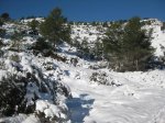 alba y 028.jpg