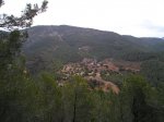 P1010005.jpg