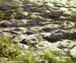 cobbles..jpg