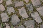 roubaix..jpg