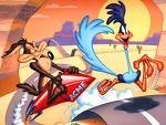 correcaminos..jpeg