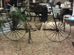 IMG00003-20100217-1&.jpg