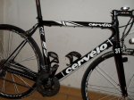 fotos 2010 010..jpg