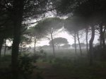 Imagen086..jpg