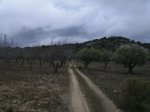 circuito 2010 007..jpg