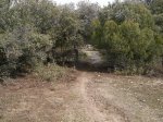 circuito 2010 009..jpg