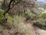 circuito 2010 016..jpg
