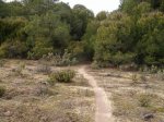 circuito 2010 027..jpg