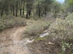 circuito 2010 033..jpg