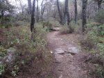 circuito 2010 040..jpg