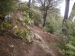 circuito 2010 042..jpg