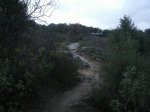 circuito 2010 047..jpg