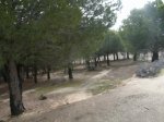 circuito 2010 051..jpg