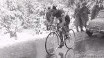 Charly Gaul.jpg
