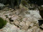DSC00510..jpg
