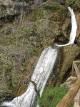 IMG_1826..jpg