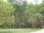 IMG_1852..jpg