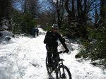 20-2-10 Fresneo-Ca.jpg