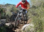 pica park 014..jpg