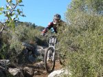 pica park 015..jpg