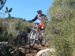 pica park 016..jpg