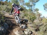 pica park 019..jpg