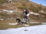 IMGP0517..jpg