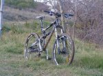 F-Freda (13)..JPG