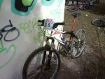 DSC01527.jpg