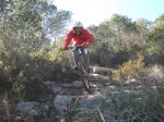 pica park 035..jpg