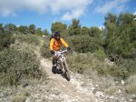 P2201017..jpg