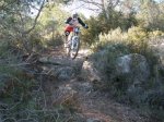 pica park 037..jpg