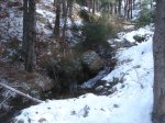DSC09382..JPG