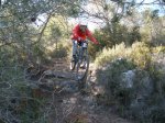 pica park 039..jpg