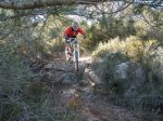 pica park 040..jpg