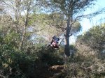 pica park 045..jpg