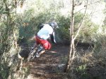 pica park 048..jpg