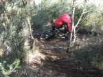 pica park 049..jpg